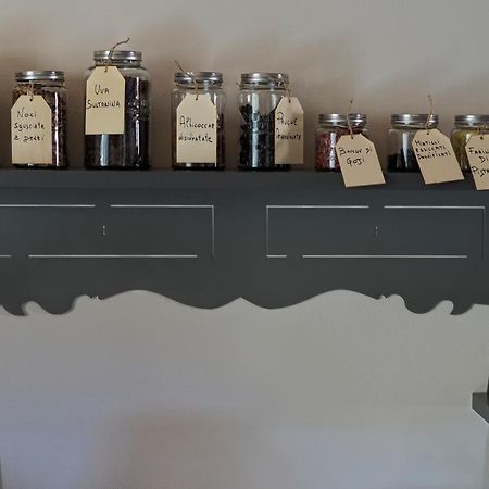 B&B La Taccola Castelnuovo di Val di Cecina Εξωτερικό φωτογραφία
